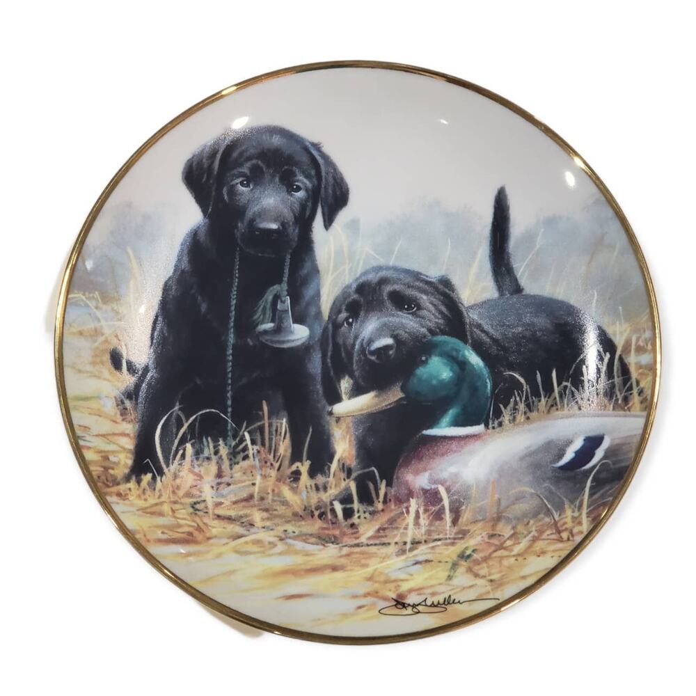 Franklin Mint BEGINNER'S LUCK Labrador Dog Collector Plate by James Killen